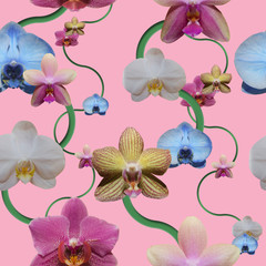 Orchid pattern