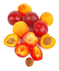 Naklejka na ściany i meble Apricots and plums