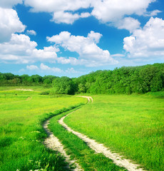 Lane in meadow