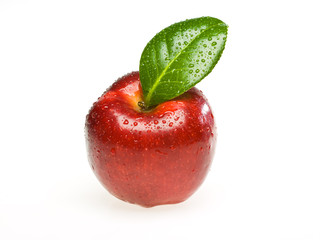 Red wet apple On white background