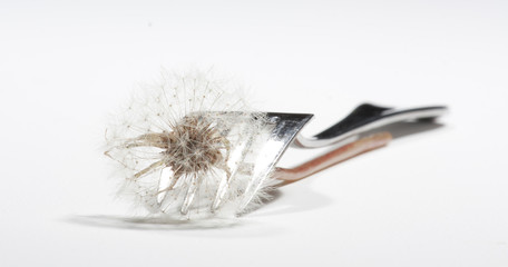 Eine Pusteblume in einer Gabel