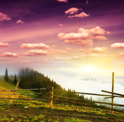 Obraz premium sunset