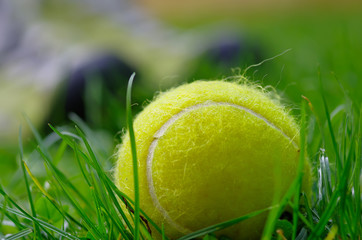 tennis,balle,herbe,tournoi,gazon,vert,jaune