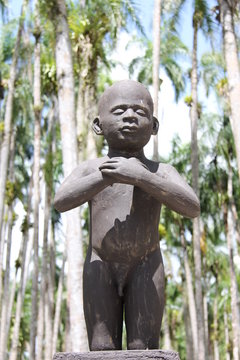 Suriname - Palmentuin