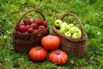 Obstkörbe mit Äpfel und Kürbisse