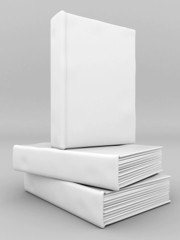 Picture pages,  Books bindings and Literature