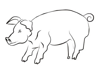 Schwein 003