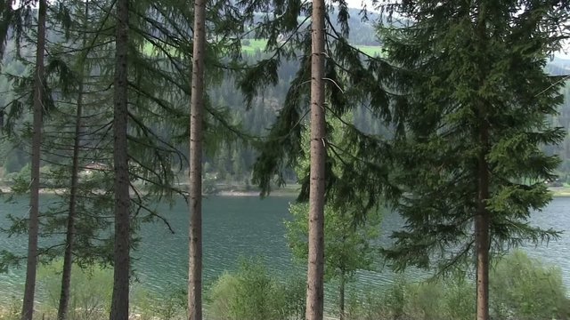 lago e pini val d'ultimo sud tirol