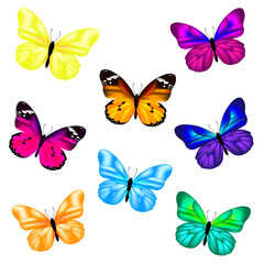 Fototapeta na wymiar Butterfly Icon Set