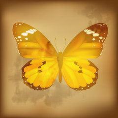 Vintage Butterfly