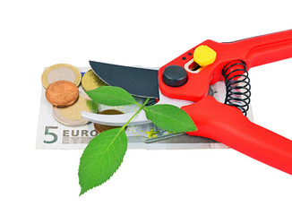 Garden pruner, green leaf and money, isolated on a white