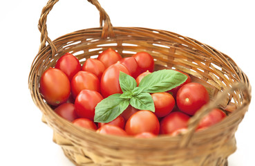 basil and tomato in the bin