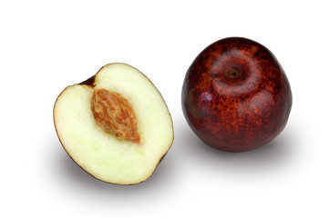 Jujube (Ziziphus Jujuba)