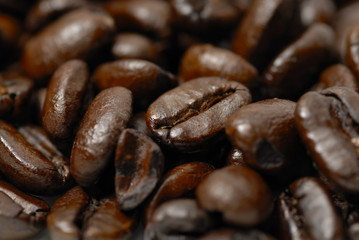Fresh, dark arabica coffee beans.
