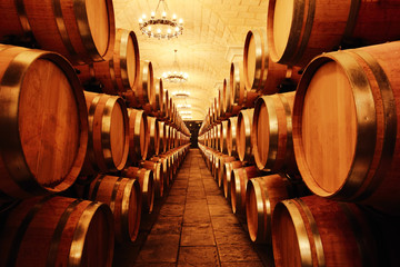 Wine cellar with  barrels