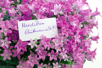 Herzlichen Glückwunsch! Im Blumenbett