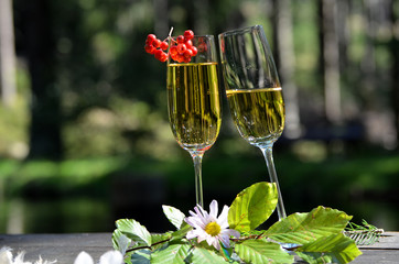 Romantisches Picknick im Wald