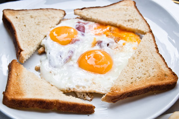 Prepared Egg - prepared egg under the sun