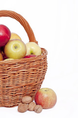 The basket of apples & few walnuts (cutted)