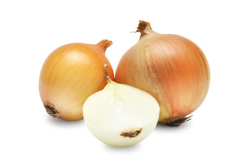 bulbs of onion