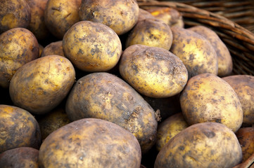 Potatoes