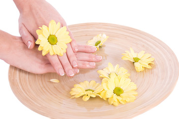 Fototapeta na wymiar Woman hands and flowers