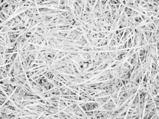 Shredded Paper Texture Background
