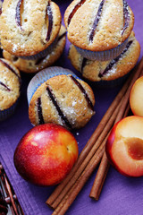 Naklejka na ściany i meble muffins with plums