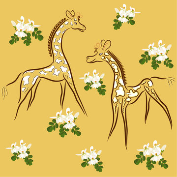 giraffes and moringa flowers