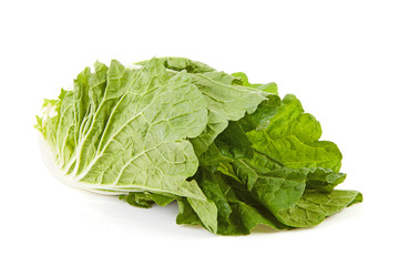 fresh Chinese cabbage over white background
