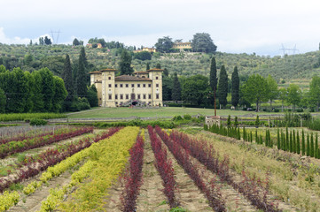 Fototapeta na wymiar Zabytkowej willi w pobliżu Pistoia (Toskania)