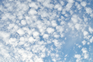 いわし雲　うろこ雲