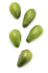 avocado fruits