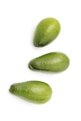 avocado fruits