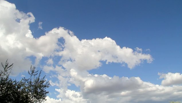 cielo