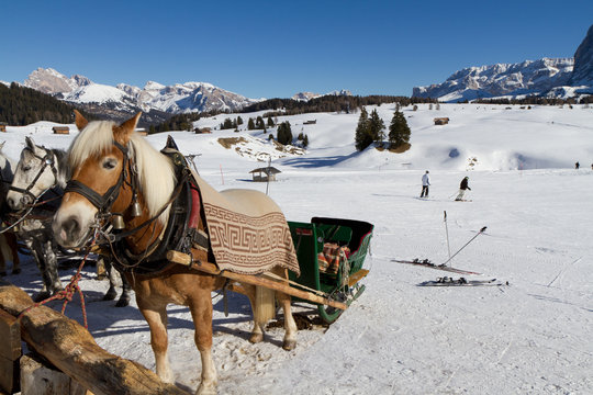 Pferdeschlitten auf der Seisser Alm, S&uuml;dtirol, Italien