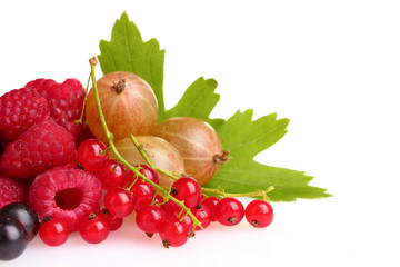 fresh raspberries, blackcurrant,  and leaves isolated on white