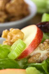 Waldorf Salad made of lettuce, apple, celery, walnuts, raisins