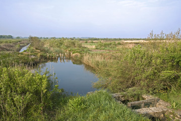 Ile Malprat, Réserve naturelle , Bassin d'Arcachon , 33