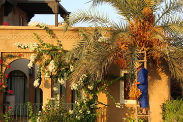 couleurs Maroc