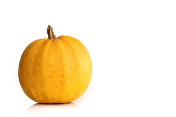 zucca biologica di halloween