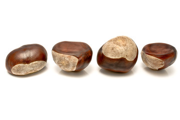 Four chestnuts