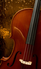 Fototapeta premium Cello
