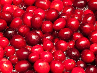 Cranberries