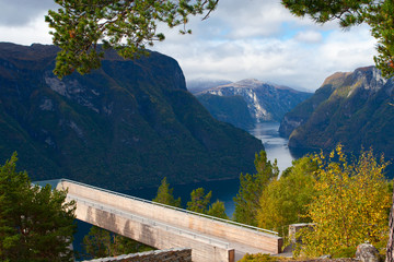 view of beautiful norwegian fjord with foresty cliifs .