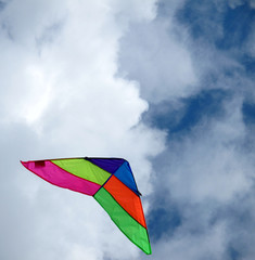 Flying kite