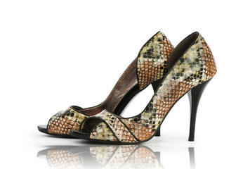 Elegant shoes on the white