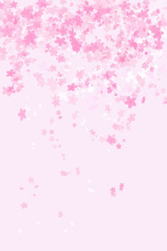 桜のイメージ