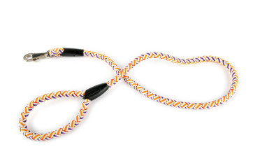 Dog collar isolated on the white background