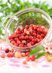 Sprinkled cranberries in a glass bowl on a table.